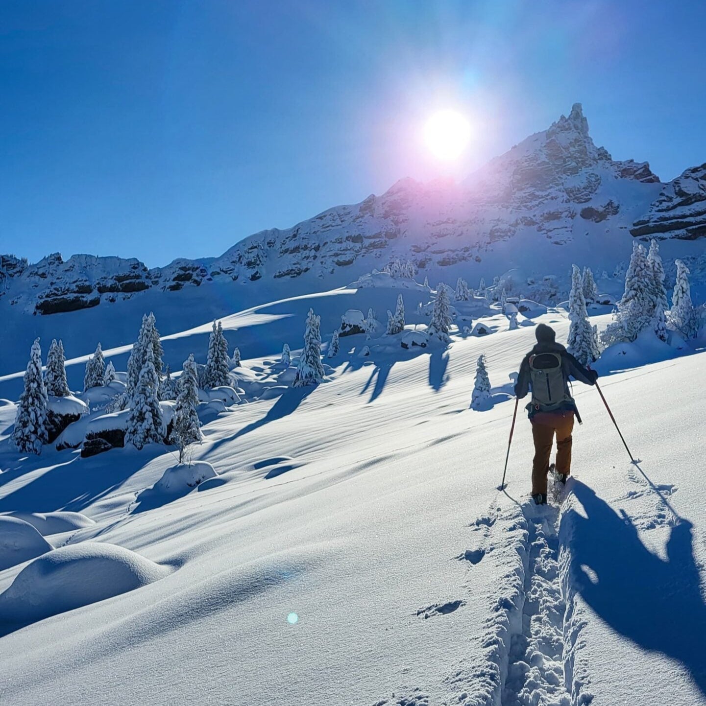 Initiation au ski de randonnée / 2 février 2025